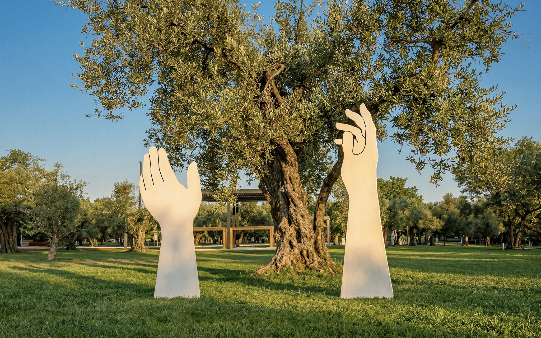 Olivari - Olive theme park-2