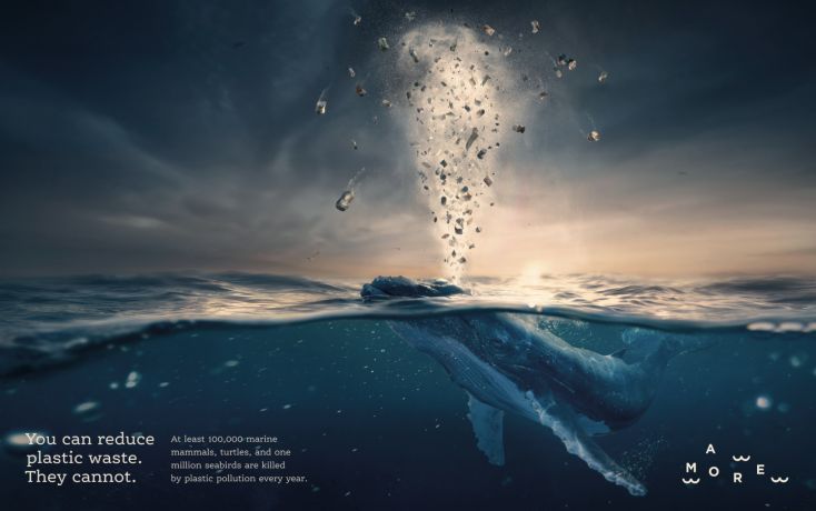 You can reduce plastic waste. They cannot.